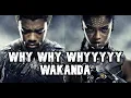 Wakanda Forever - This Film Makes No Sense
