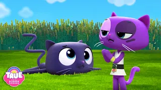 Bartleby Ninja Cat Fails! | 2 Full Episodes | True and the Rainbow Kingdom
