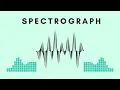 How to interpret a Spectrograph