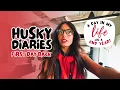 First day back Husky Diaries