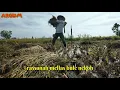 Download Lagu Oreng tanih (COVER)vocal:SYAIFUL ARIFIN.rassanah mellas ongggu deddih Reng tanih tretan//