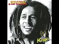 Sun Is Shining (Kaya 40 Mix) - Bob Marley & The Wailers
