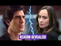 What happened to Brandon Routh with his wife Courtney Ford Shocking Divorce Reason