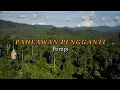 Lagu PAHLAWAN PENGGANTI - Pompi || Video Lirik Lagu | Viral Tiktok | Fyp