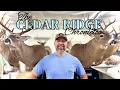 How to Mount a Deer Head Advanced Techniques Step by Step