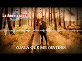 La Arrolladora Banda El Limón De René Camacho - Ojalá Que Me Olvides (Visualizer)