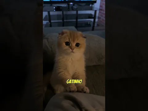 Ela Nunca Deveria Ter Entrado Nesta Casa! 😨