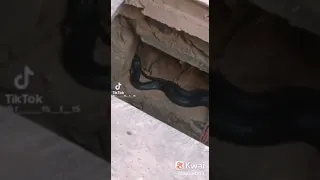 اللهم اني اعوذ بك من عذاب القبر يارب    دندنها