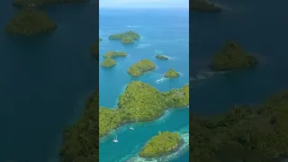 SAS Planet Satellite Reality vs Navionics fiction. Click to see Top 10 Tips video #sailing