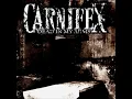 Carnifex - Hope dies with decadent