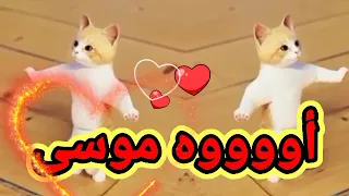 اغنية باسم موسى القمر موسى السعودية الكويت تركيا العراق قطر مسقط البحرين الجزائر جده دبي الرياض 