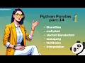 Master Advanced Pandas Techniques ChunkSize Melt Pivot MultiIndex More