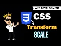 scale css transform in css full stack web development course