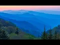 In the Forest Peace Beautiful Relaxing Music Peaceful Soothing Instrumental Music by Tim Janis
