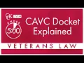 The Court of Appeals for Veterans Claims CAVC Docket Explained