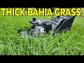 PowerSmart 209cc 21 inch mower review DB8621PH
