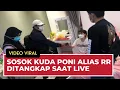 Download Lagu Detik-detik Kuda Poni, Selebgram RR Didicuk Saat Sedang Live Tanpa Busana