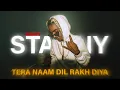 Download Lagu tera naam dil rakh diya x mc stan || highfy