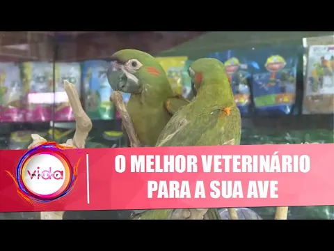 Download MP3 Saiba qual o melhor veterinário para a sua ave – 07/10/20