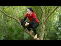 Download Lagu Harvesting Wild Chickens After Rain To Sell At The Market – Crispy Chicken Skin | Hanna Daily Life