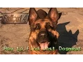 Fallout 4 How to find lost Dogmeat