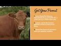 Apply for a Permit with the Missouri Farm Bureau