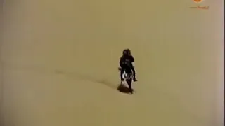 جزء من اغنية انك لاتهدى الاحبة ولكن الله يهدى من يشاء 