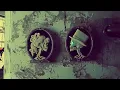 Spooky Scary Skeletons (Spirit Halloween Music Video)