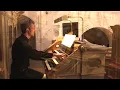 Alexander Bauer fields fur 2 Orgeln