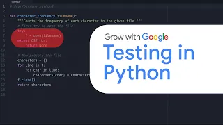 Testing Python for Beginners Google IT Automation with Python Certificate
