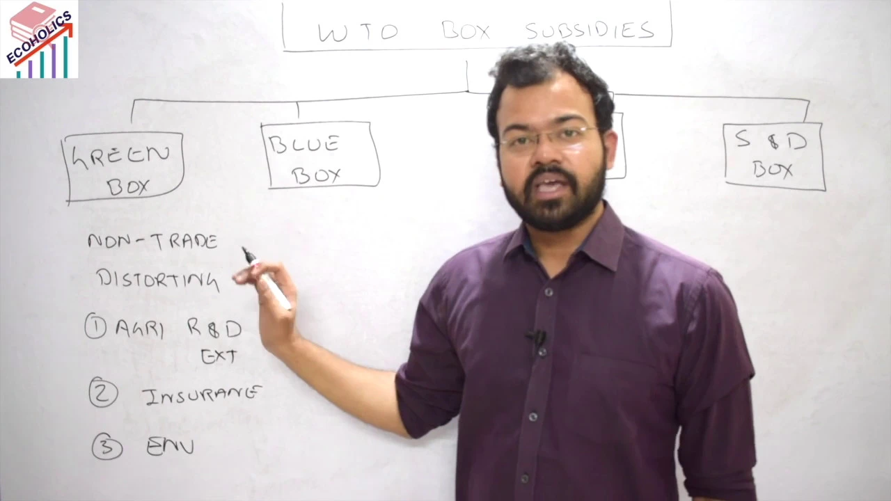 WTO's Box Subsidies By SANAT SHRIVASTAVA | UPSC IAS | CIVIL SERVICES | Economics