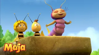 Das große Abenteuer im Bienenstock! - Maya the Bee🐝🍯🐝 - FULL COMPILATION,