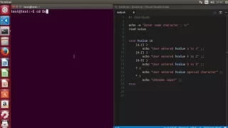 13 Shell Scripting Tutorial for Beginners 13 - The case statement Example
