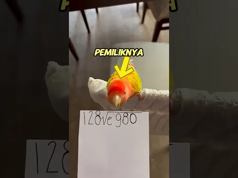 pesan rahasia dari burung pipit 😀#shorts