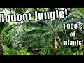 Download Lagu Indoor Jungle Garden Tour + Orchid \u0026 Plant Haul