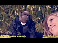 The Black Keys - Next Girl [Official Music Video]
