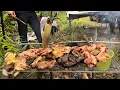 Download Lagu CAMPING SIANG HARI SAMBIL PANGGANG BABI HUTAN //
