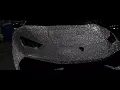 First Diamond Lamborghini in America