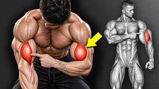 How to Get Wider Biceps with Dumbbells (Fast Results!)