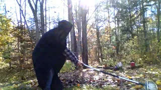 wizard raking video
