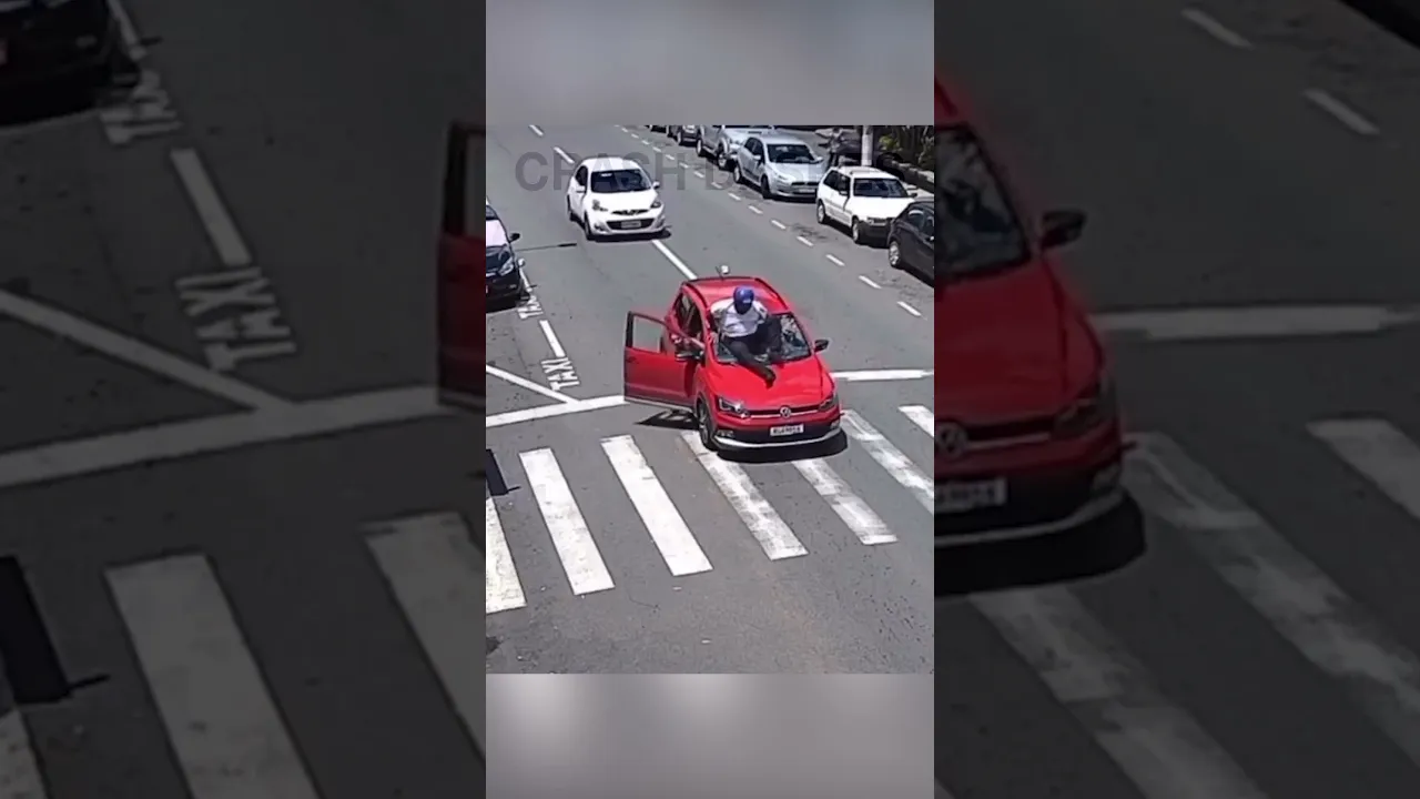 Dog at fault?