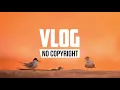 Alex Keeper - Can You Stay (Vlog No Copyright Music)