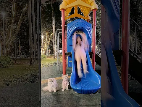😾: Cara dia baik sama kami selaluuu diluar nurul woi! #funnyvideo #cat #comedy #kucing #kucinglucu