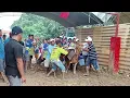 Download Lagu Uji coba gundul JMF x SENOPATI JAWA !! Apakah Senopati akan di pinang oleh team JMF