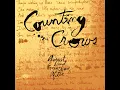Mr. Jones - Counting Crows