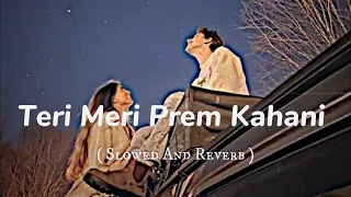 teri meri prem kahani slowed reverb bodyguard 