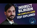 Indirect Bilirubin Test Explained Causes Procedure Normal Range MLT Hub with kamran
