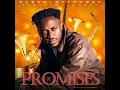 PROMISES - Anendlessocean