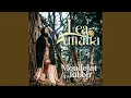 Download Lagu Meudelat Tuboh