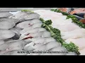 Bravo Hiawassee Seafood Subtitled
